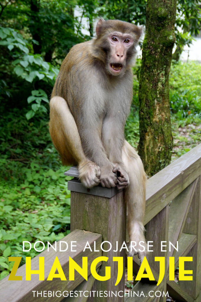 Dónde alojarse en Zhangjiajie